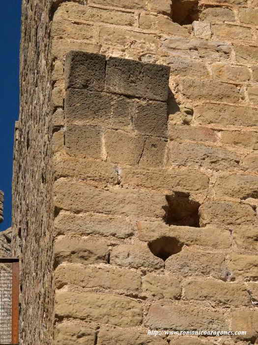 DOVELAS EN LA TORRE DE LA REINA